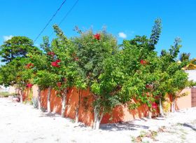 flowers on wall Yucatan, Mexico – Best Places In The World To Retire – International Living